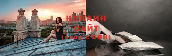 хмурый Алексин