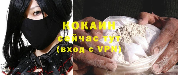 хмурый Алексин