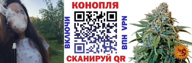 Бошки Шишки план кракен зеркало Калининск сколько стоит